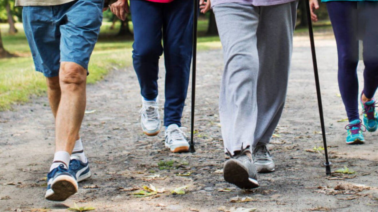 Gruppe beim Nordic Walking auf einem Waldweg